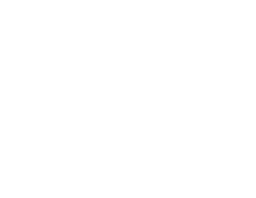 Bertolino Logo